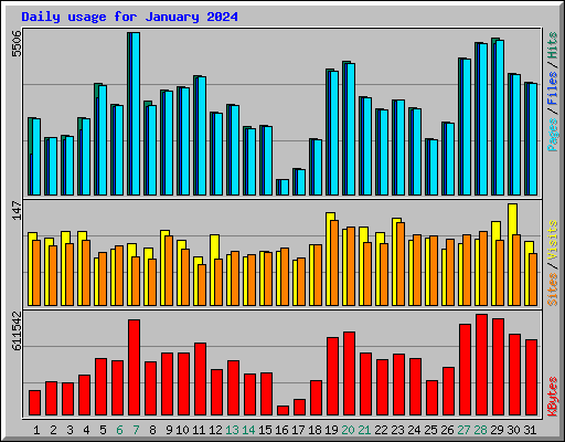 Daily usage for January 2024