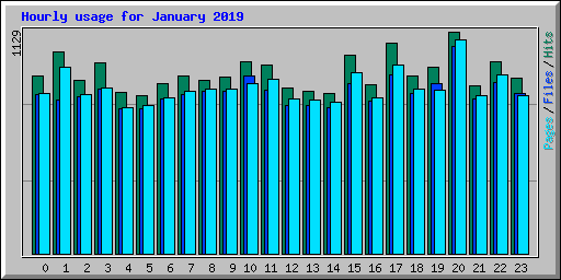 Hourly usage for January 2019