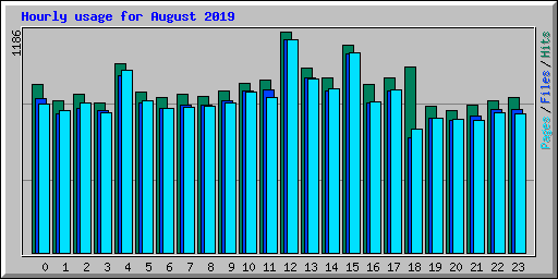 Hourly usage for August 2019