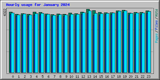 Hourly usage for January 2024