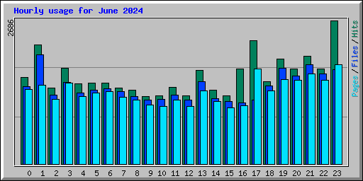 Hourly usage for June 2024