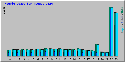 Hourly usage for August 2024