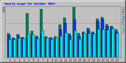 Hourly usage for October 2024