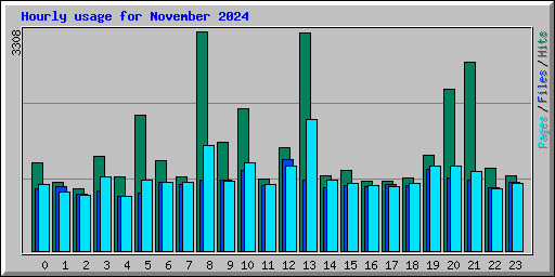 Hourly usage for November 2024