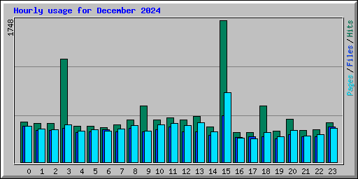 Hourly usage for December 2024