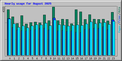Hourly usage for August 2025