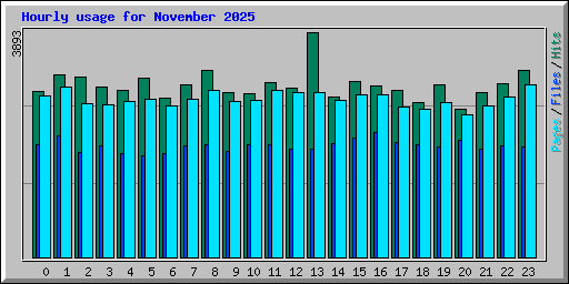 Hourly usage for November 2025