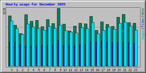 Hourly usage for December 2025