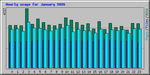 Hourly usage for January 2026