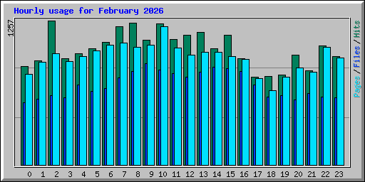 Hourly usage for February 2026