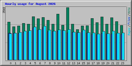 Hourly usage for August 2026